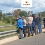 1 exhilarating 7 day kruger safari adventure south to north Exhilarating 7 Day Kruger Safari Adventure - South to North