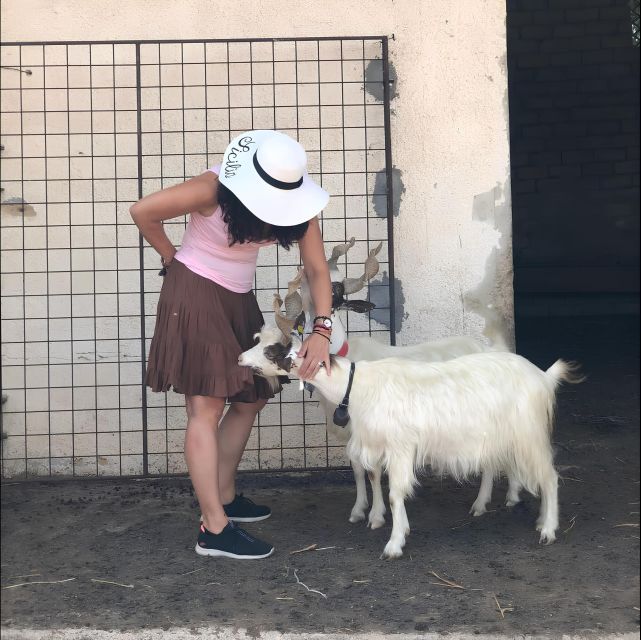 Experience With Girgentan Goats in Agrigento