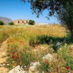 1 explore knossos and free time in heraklion city crete Explore Knossos and Free Time in Heraklion City - Crete
