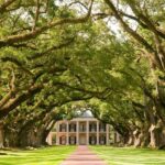 1 explore oak alley plantation guided tour with transportation Explore Oak Alley Plantation Guided Tour With Transportation