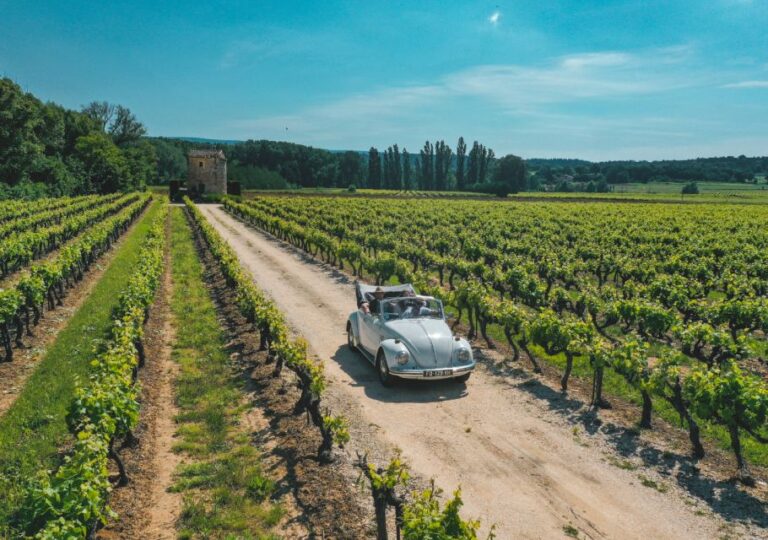 Explore Provence in a Beetle!