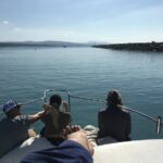 1 family and private group whale and dolphin watching Family and Private Group Whale and Dolphin Watching