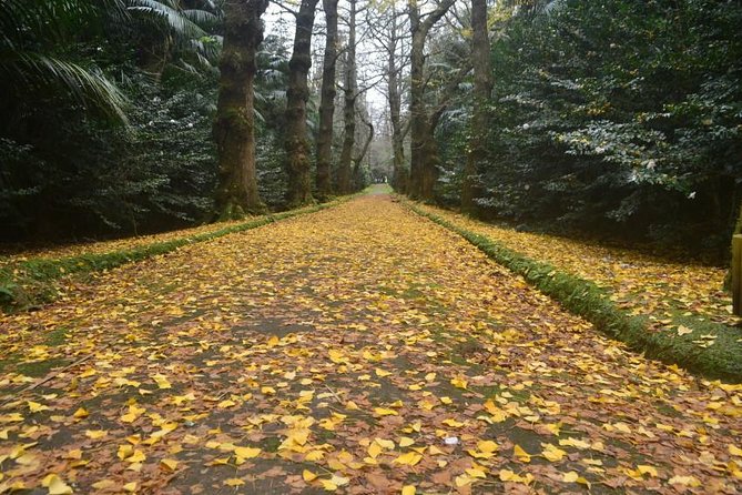 Fenais Da Luz Small-Group Full-Day Furnas Tour  – Ponta Delgada