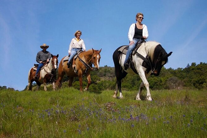 Fethiye Horse Riding Experience With Free Hotel Transfer Service - Duration and Admission