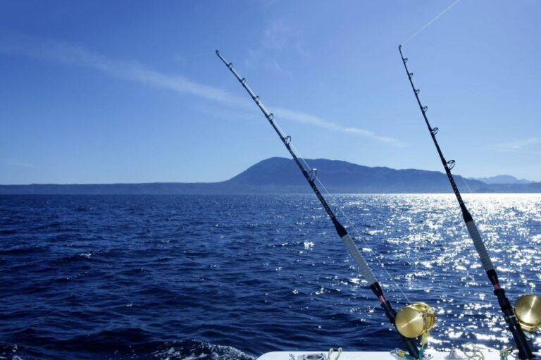 Fishing Tours for Two Hours