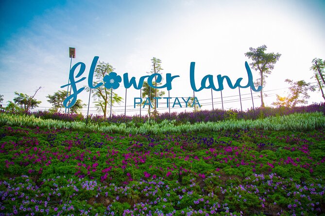 1 flower land pattaya admission ticket with return transfer 3 Flower Land Pattaya Admission Ticket With Return Transfer