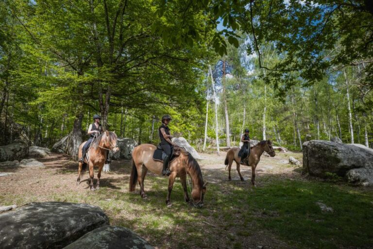 Fontainebleau : Horse-riding, Gastronomy & Château