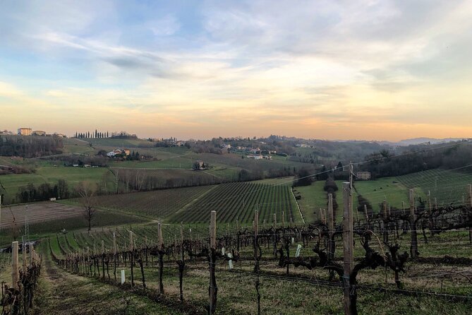 Food and Wine Tour on the Prosecco Hills From Venice