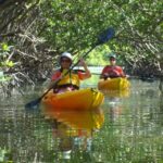 1 fort myers guided kayak or sup tour in pelican bay Fort Myers: Guided Kayak or SUP Tour in Pelican Bay