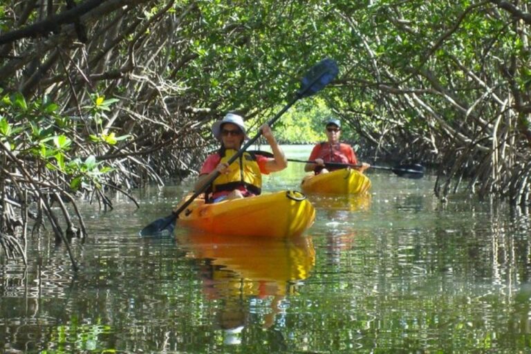 Fort Myers: Guided Kayak or SUP Tour in Pelican Bay