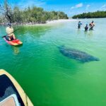 1 fort myers guided standup paddleboarding or kayaking tour Fort Myers: Guided Standup Paddleboarding or Kayaking Tour