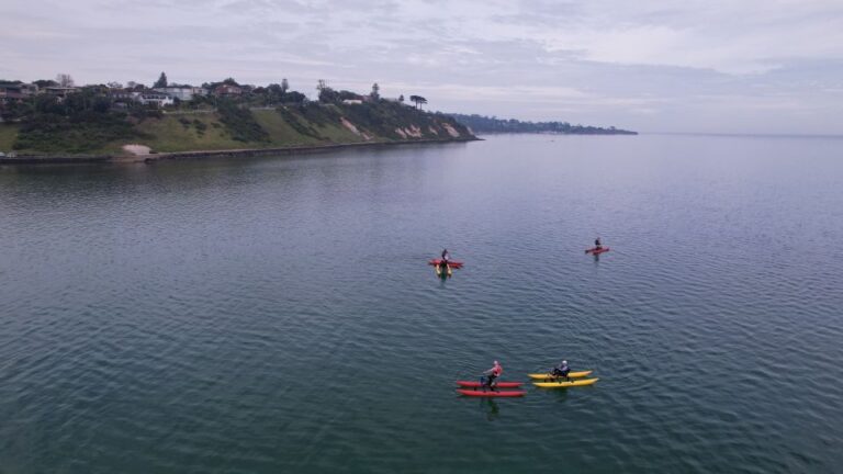 Frankston: Port Phillip Bay Water Bike Tour