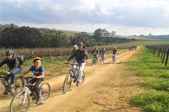 Franschhoek Family Cycle Tour