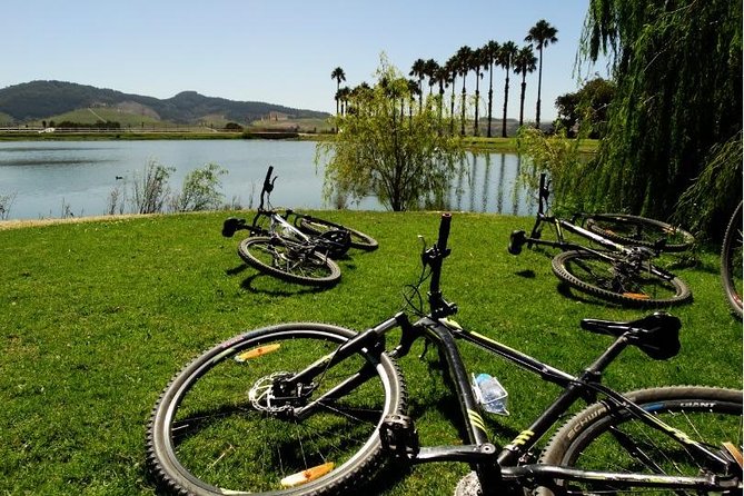 Franschhoek Half Day Winelands Cycle Tour