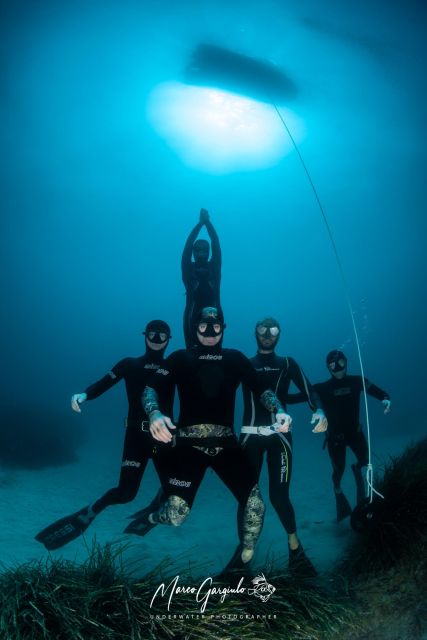 Freediving in the Wild of the Amalfi Coast/Capri/Sorrento: