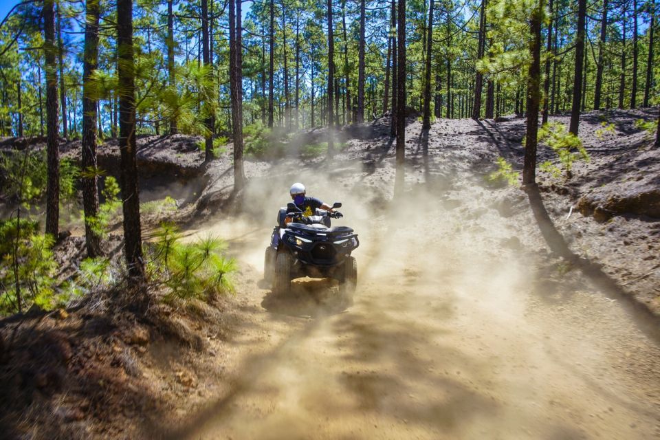 1 from adeje mount teide forest off road quad bike tour From Adeje: Mount Teide Forest Off-Road Quad Bike Tour