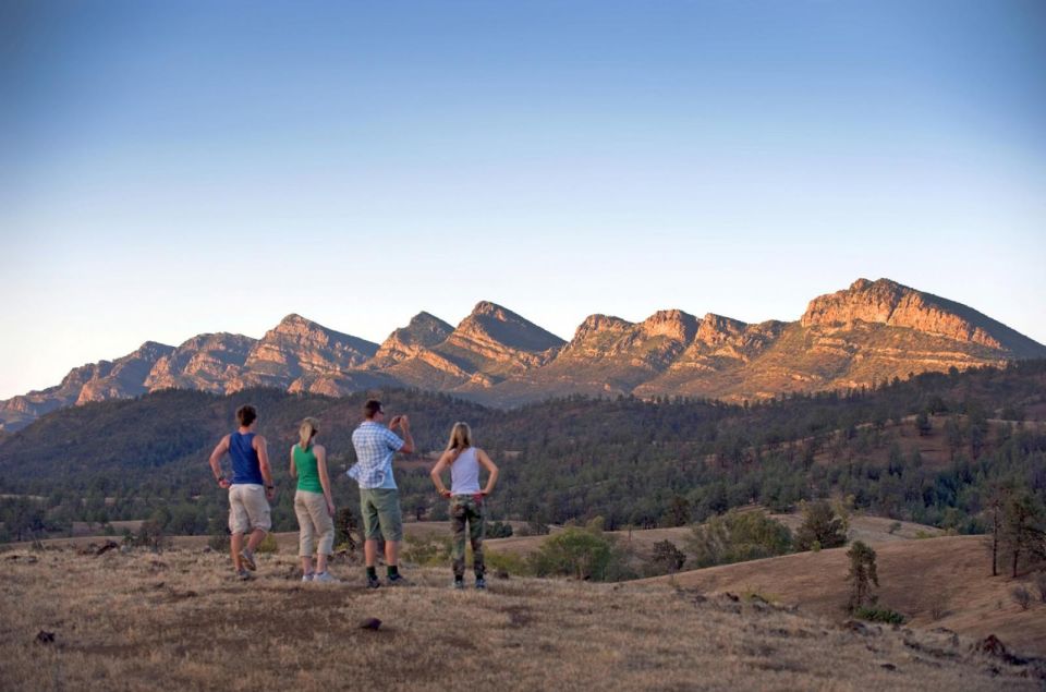 1 from adelaide 3 day flinders ranges small group eco safari From Adelaide: 3-Day Flinders Ranges Small Group Eco Safari