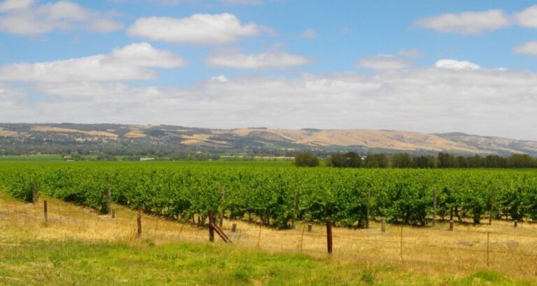 From Adelaide: McLaren Vale Winery Tour via Hahndorf