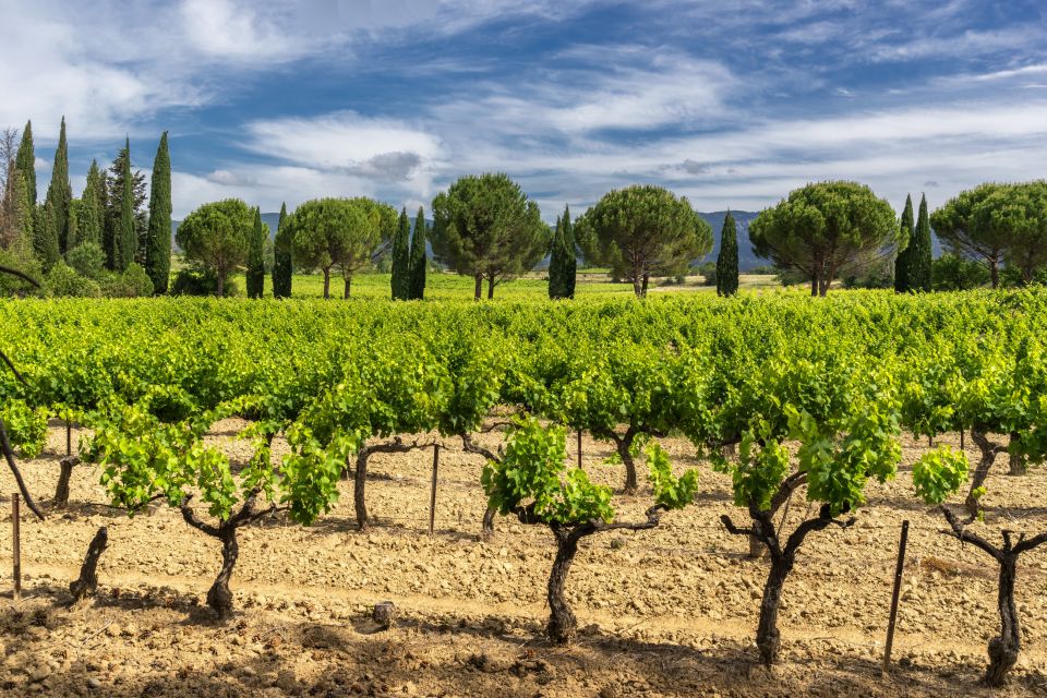 1 from aix en provence chateauneuf du pape wineries day trip From Aix-En-Provence: Châteauneuf Du Pape Wineries Day Trip