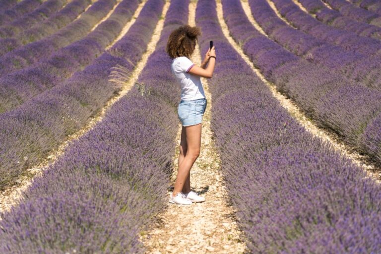 From Aix-en-Provence: Lavender Half Day Morning Tour