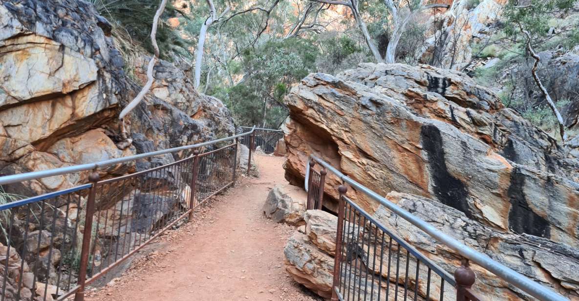 1 from alice spring west macdonnell ranges half day tour From Alice Spring: West MacDonnell Ranges Half-Day Tour