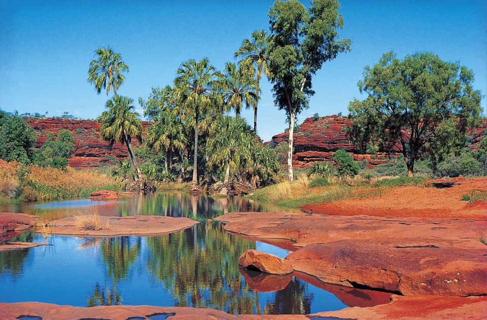 1 from alice springs palm valley 4wd outback safari picnic From Alice Springs: Palm Valley 4WD Outback Safari + Picnic