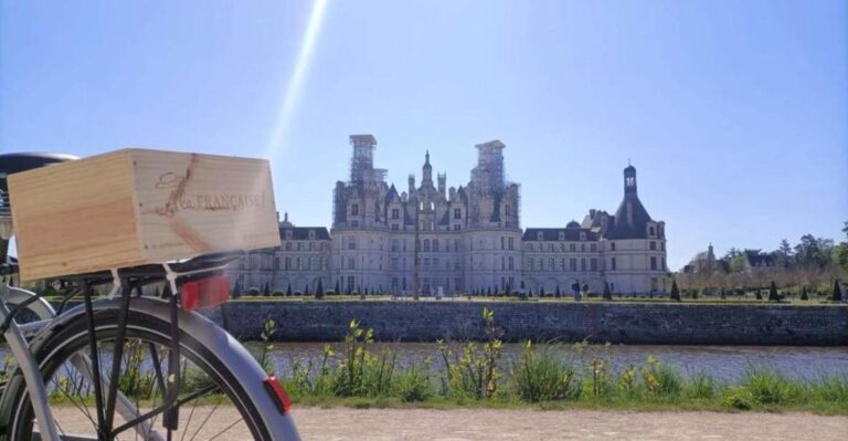 From Amboise: Full-Day Guided E-bike Tour to Chambord