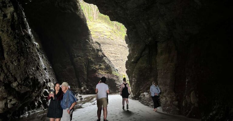 From Auckland: Guided Tour of Piha With Scenic Beach Walks