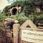 1 from auckland hobbiton afternoon tour From Auckland: Hobbiton Afternoon Tour