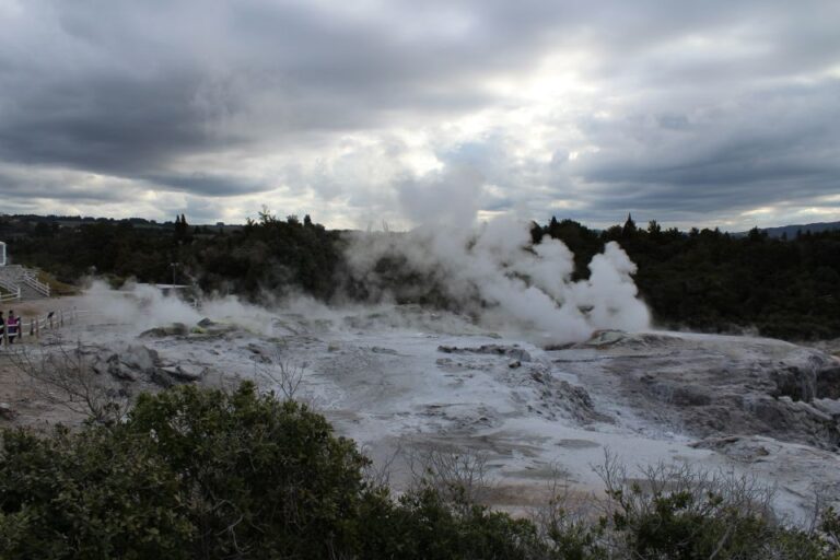 From Auckland: Hobbiton & Rotorua Tour With Lunch at Te Puia