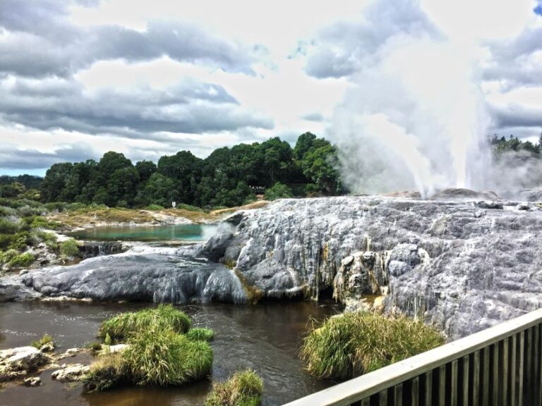 From Auckland : Waitomo Caves and Rotorua With Te Puia