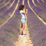 1 from avignon lavender tour to sault From Avignon: Lavender Tour to Sault
