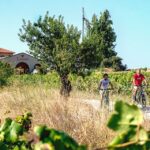 1 from barcelona penedes e bike tour with 2 winery visits From Barcelona: Penedès E-Bike Tour With 2 Winery Visits