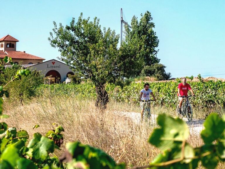 From Barcelona: Penedès E-Bike Tour With 2 Winery Visits