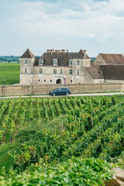 From Beaune: Burgundy Day Trip With 12 Wine Tastings