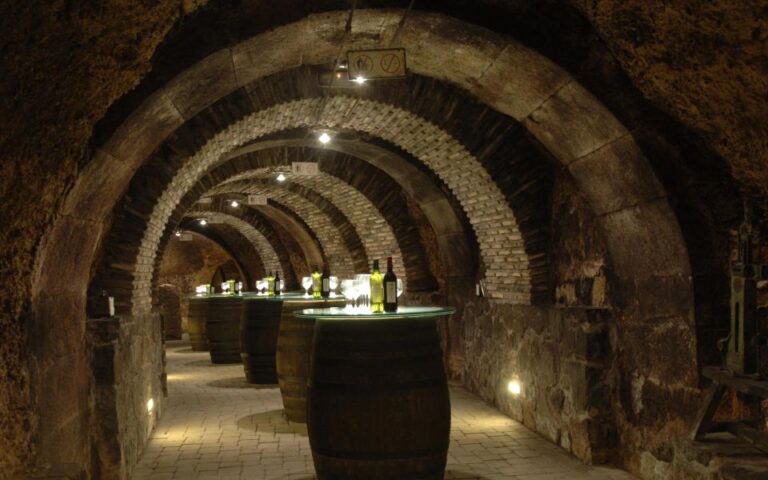 From Bilbao: La Rioja and Its Wineries