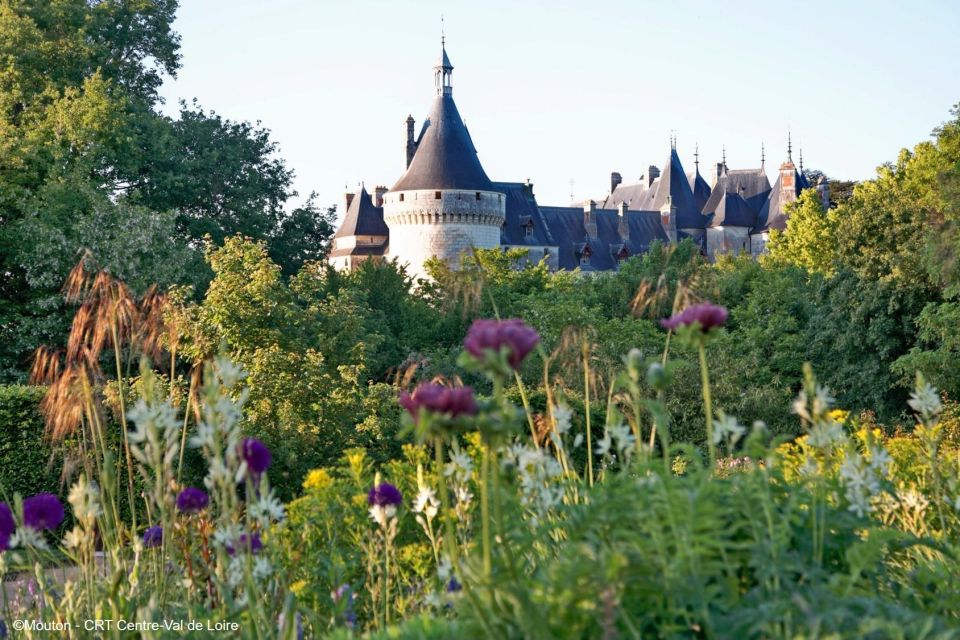 1 from blois chaumont sur loire nature wine and history From Blois: Chaumont-sur-Loire, Nature, Wine And History