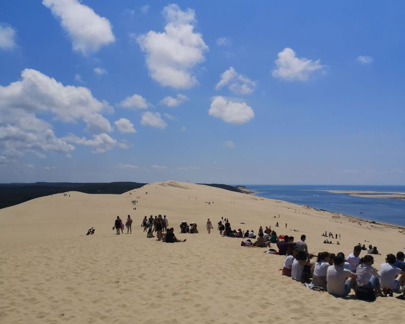 From Bordeaux: Arcachon Bay Afternoon and Seafood