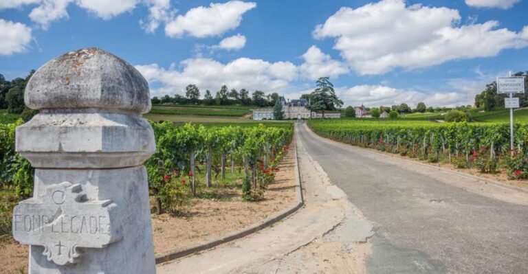From Bordeaux: Full-Day St Emilion Wine Tasting Tour