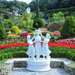1 from busan enchanting oedo botania day tour with wind hill From Busan: Enchanting Oedo Botania Day Tour With Wind Hill