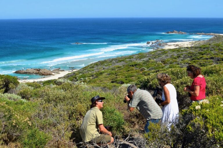 From Busselton: Half-Day Coastal and Wildlife Eco Tour