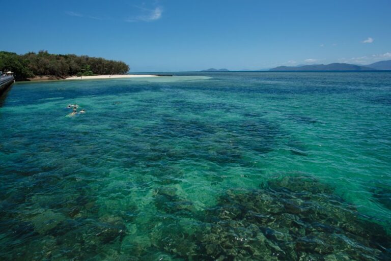 From Cairns: Afternoon Cruise to Green Island