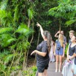 1 from cairns daintree wilderness cape tribulation bus tour From Cairns: Daintree Wilderness & Cape Tribulation Bus Tour
