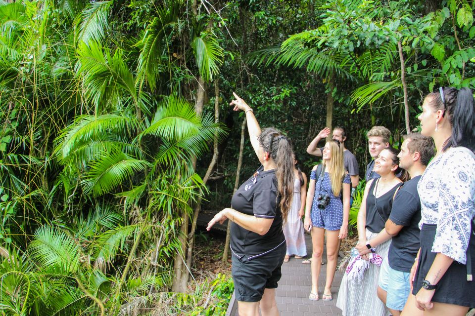 1 from cairns daintree wilderness cape tribulation bus tour From Cairns: Daintree Wilderness & Cape Tribulation Bus Tour