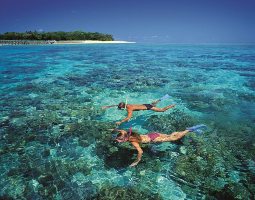 1 from cairns full day green island cruise From Cairns: Full-Day Green Island Cruise