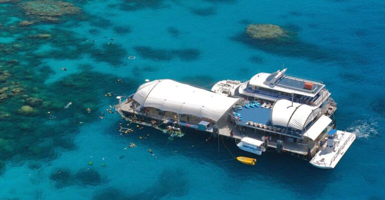 From Cairns: Great Barrier Reef Cruise and Activity Platform