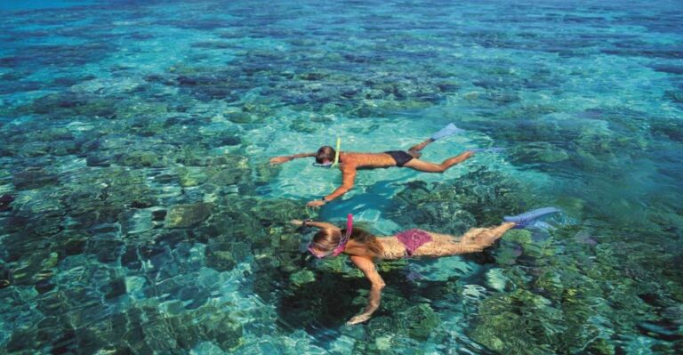 From Cairns: Green Island Half-Day Morning Cruise