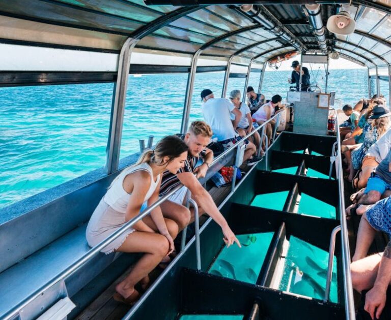 From Cairns: Green Island Snorkelling or Glass Bottom Boat