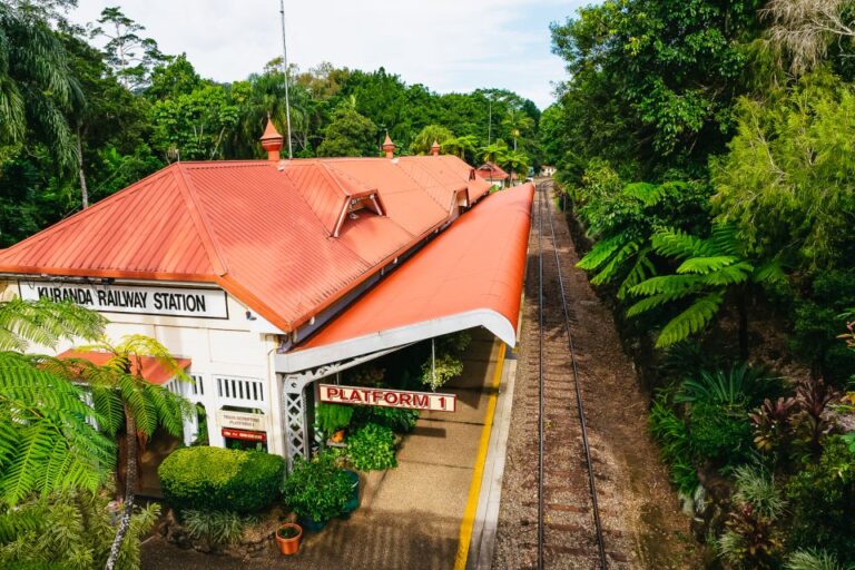 From Cairns: Kuranda Day Trip With Kuranda Train and Skyrail