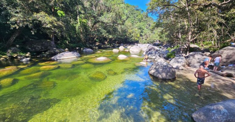 From Cairns: Mossman Gorge Tour & Daintree Rainforest Cruise